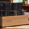 Neoson Evolution