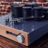 Neoson Evolution