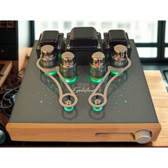 Neoson Evolution